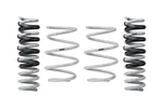 Eibach E32-23-018-01-22/01 Drag-launch-kit Fits Chevrolet. Fixed Price $365.00.