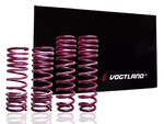 Vogtland Sport Lowering Springs 951657. Fixed Price $190.00.