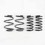 Rs N910D Down Sus Lowering Springs For 2009-2014 Nissan Maxima Fwd. Fixed Price $249.95.