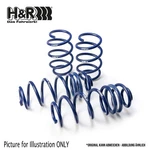 H&r Lowering Springs 30MM For Chevrolet Cruze Kombi/sw, KL1J, 2012 On :28976-1. Fixed Price $267.65.