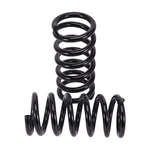 Lowering Springs Inch Drop Front Ford F150 2WD 97-03 Powder Coated. Fixed Price $105.22.