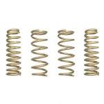 Ford Mustang Ecoboost V8 V6 2.3T / 3.7L 5.0L 15+ Ark Gt-s Lowering Springs. Fixed Price $351.12.