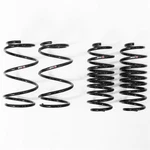 Rs-r T085D Rsr Down Sus Springs. Fixed Price $279.00.