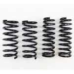 Rs-r Half Down Lowering Springs For Lexus IS250/350 Rwd 2014+ GSE30/GSE31. Fixed Price $276.16.