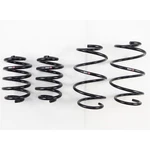 Rs-r N315D Down Suspension Springs For Nissan Juke 2011-2014. Fixed Price $309.00.