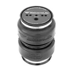 Universal Air Suspension Double Play 3/8" Port Bag Lowered Single. Fixed Price $105.00.