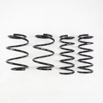 Rs N920D Down Sus Lowering Springs For 2013-2018 Nissan Altima L33 Fwd. Fixed Price $262.95.