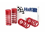 H&r 94-95 Ford Mustang/mustang Cobra V8 Race Spring. Fixed Price $479.62.