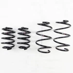 Rs-r N315D Down Sus Lowering Springs For 11-17 Nissan Juke Awd NF15 1.6L Turbo. Fixed Price $288.95.