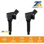 Ignition Coil (2 Pack) For Volkswagen Audi Jetta Golf Tiguan Q5 Sportwagen Atlas. Fixed Price $64.78.