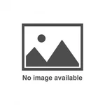 Suspension Bump Stop Washer Series RE-SW-16A-. Fixed Price $21.23.