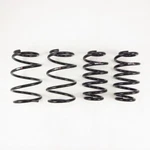 Rs-r T557D For 2016 Scion Im Down Lowering Springs. Fixed Price $252.95.
