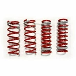 Tanabe TNF170 Sustec NF210 1.1" Front / 1.2" Rear Lowering Springs For GS350. Fixed Price $312.47.