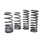 Ford M5300-B Lowering Springs Front And Rear Black Powdercoated Set Of 4. Fixed Price $353.05.