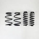 Rs-r T078D Awd Down Sus Lowering Springs For Toyota RAV4 2019-2021 New. Fixed Price $278.37.