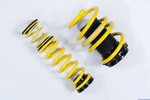 St Coilover Springs Va / Ha 5-20MM Bmw Series F90 M5 Lim Xdrive (F5LM, 18-) 441KW. Fixed Price $1354.93.