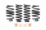 Eibach Springs E10-46-042-01-22 Coil Lowering Kit. Fixed Price $355.00.