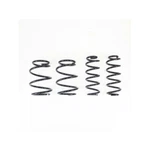 Rs-r T027D Down Sus Springs For Toyota Corolla Sedan 2020-2024. Fixed Price $274.23.
