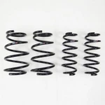 Rs-r T183D Down Suspension Springs For 2019+ Lexus ES350 New. Fixed Price $298.61.