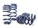 Coil Lowering Kit-avant H&r Special Springs Fits 2006 Audi A6 Quattro. Fixed Price $343.68.