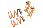 Megan Racing Lowering Coil Springs For 2007-2017 Mitsubishi Lancer. Fixed Price $1599.00.