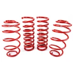 Bmr Suspension SP030R Lowering Spring Kit. Fixed Price $259.95.