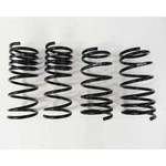 Rs-r T275D Down Suspension Lowering Springs For 2006-2013 Lexus IS250 IS350 Rwd. Fixed Price $250.58.