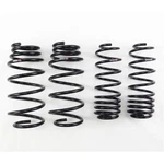 Rs-r H271S Rsr Super Down Springs. Fixed Price $219.00.