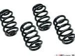 Neuspeed Sport Spring Kit 55.02.43 Audi B5 A4 Quattro Sedan/avant 2001-06. Fixed Price $275.00.