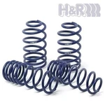 H&r 28789-2 Lower Sport Spring For 2016-2021 Audi Tts Quattro 25/25MM Awd. Fixed Price $267.95.