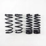 Rs-r T172D Down Lowering Springs For 2016-2020 Lexus GS350 Sport Rwd GRL12 3.5. Fixed Price $288.95.