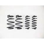 Rs-r T183D For 2019 Lexus ES350 F-sports Down Lowering Springs. Fixed Price $318.95.