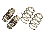Tein High-tech Lowering Springs For Swift ZC32S (SKU86-G1B00). Fixed Price $288.45.