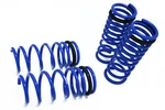 Megan Racing Coil Lowering Springs Fits GS300 GS400 GS430 98-04 MR-LS-LG498. Fixed Price $215.00.