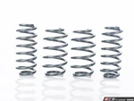 Racingline - Sports Springs VWR31G60R. Fixed Price $289.51.
