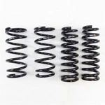 Rs T176D Down Sus Lowering Springs For 2013-2020 Lexus GS350 Awd. Fixed Price $288.95.
