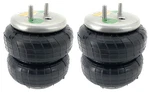 Pair Of TR6781 Spring Bag For Helper Kit Replaces Firestone W21-760-6781. Fixed Price $154.99.