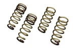 Tein High.tech Lowering Springs For 1998-2005 Lexus GS300 JZS160L 3000 Fr. Fixed Price $264.31.