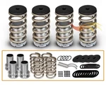 95-04 Acura Tl Sedan Coilover Lowering Springs Kit Gold. Fixed Price $75.00.
