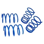 Ford Focus 00-04 1.9" X Manzo Front & Rear Lowering Coil Springs. Fixed Price $89.21.