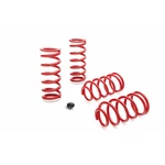 Eibach Ford Mustang V8 1979-2004 Sportline Kit. Fixed Price $485.77.
