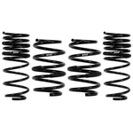 Eibach E10-63-039-01-22 Front Rear Lowering Springs Kit For 2019-24 Altima 2.5L. Fixed Price $355.00.