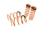 Megan Racing Suspension Lowering Springs For 2014-2019 Toyota Corolla. Fixed Price $172.00.