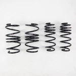 Rs-r For 2016-2021 Honda Civic (FK7) Down Sus Springs. Fixed Price $279.00.