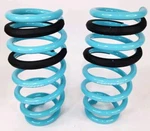 2 Godspeed LS-TS-DE-0003 Traction Lowering Springs For Dodge Challenger 09-19. Fixed Price $73.15.