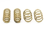 Ford Mustang 2.3T/3.7L/5.0L Ark Gt-s Lowering Springs (15+). Fixed Price $315.92.