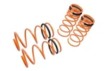 Megan Racing Lowering Springs For 03-08 Hyundai Tiburon. Fixed Price $149.00.