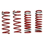 Tanabe (TNF170) NF210 Coil-spring For Lexus. Fixed Price $311.98.