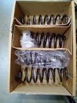 Ast Performance Lowering Springs Tesla Model. Fixed Price $199.00.