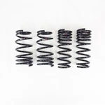 Rs-r T067D Down Lowering Springs For 2022-2024 Toyota GR86. Fixed Price $254.95.